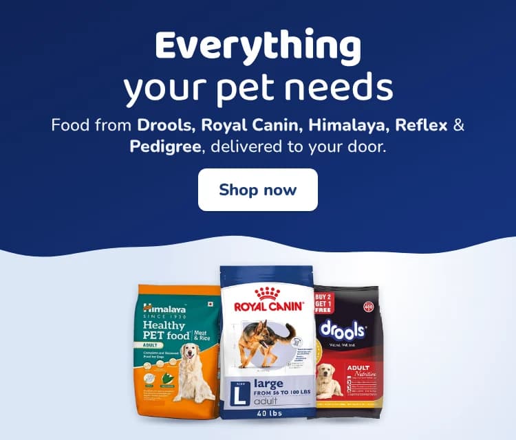 Everything your pet needs: food from Drools, Royal Canin, Himalaya, Reflex and Pedigree, delivered to your door. Shop now