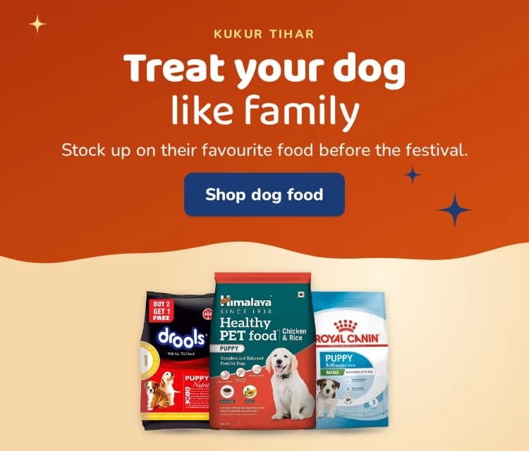 Kukur Tihar: treat your dog like family. Stock up on their favourite food before the festival. Shop dog food