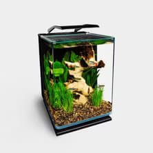 Tanks, Aquarium Kits & Stands