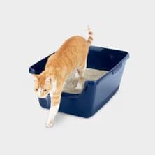 Litter Boxes & Accessories