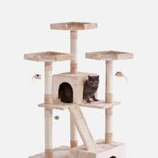 Trees, Condos & Scratchers